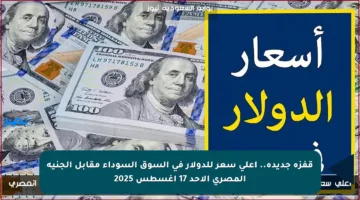 قفزة جديدة.. أعلى سعر للدولار في السوق السوداء مقابل الجنيه المصري الأحد 17 أغسطس 2025